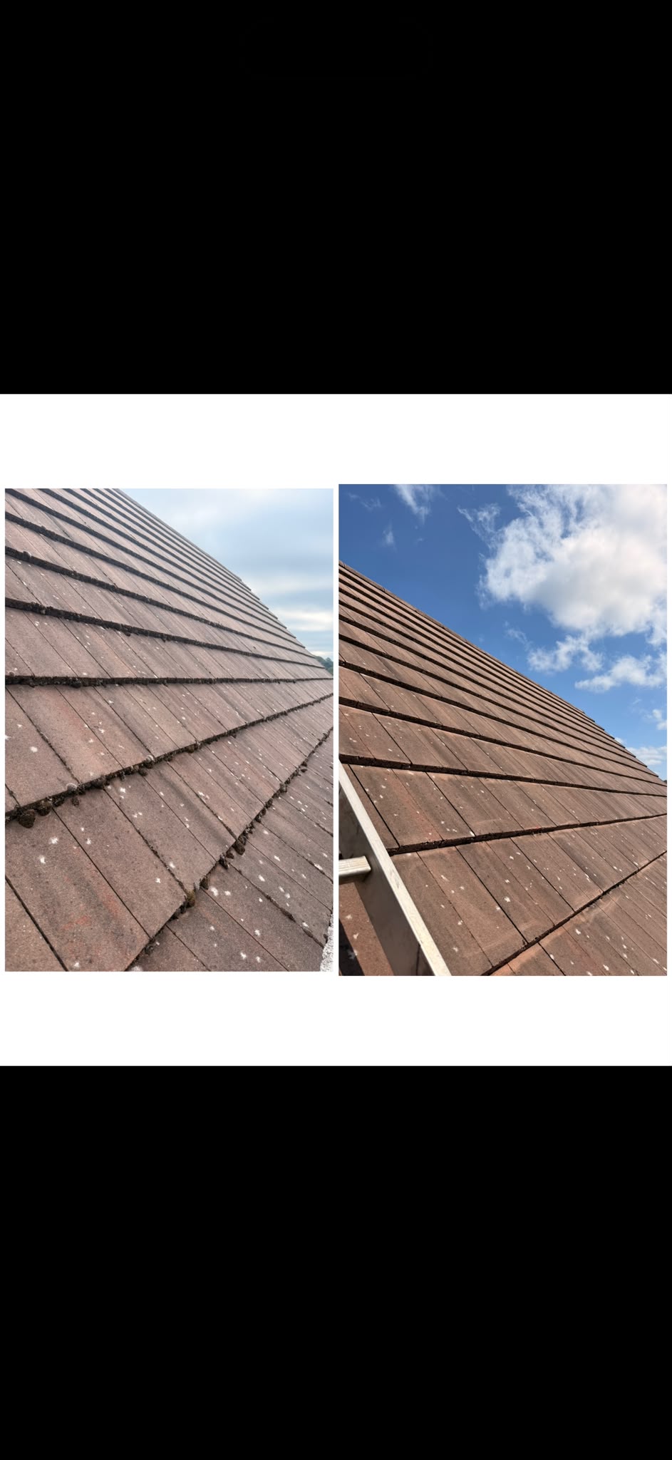 Roof tiles before and after cleaning, moss and lichen lifted from the brown tiles